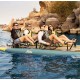 Shop for the Hobie Fiesta 4 Person Inflatable Kayak