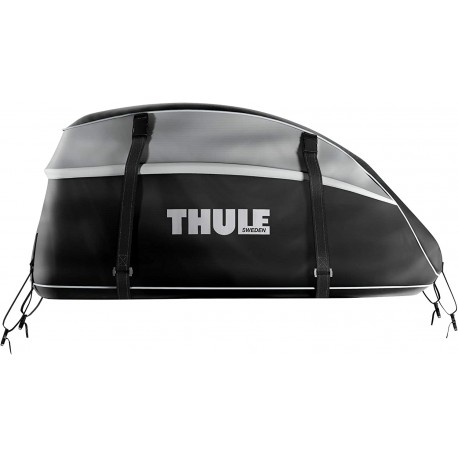 Cartop Cargo Bag from Thule for sale