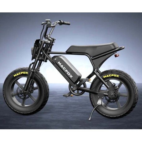 MacFox  M16 E-Bike Tempe