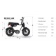 Rictor Flexx E-Bike in Tempe