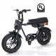 Rictor Flexx E-Bike for sale