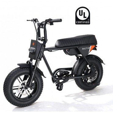 Rictor Flexx E-Bike for sale