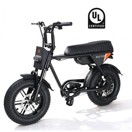 Rictor Flexx E-Bike for sale