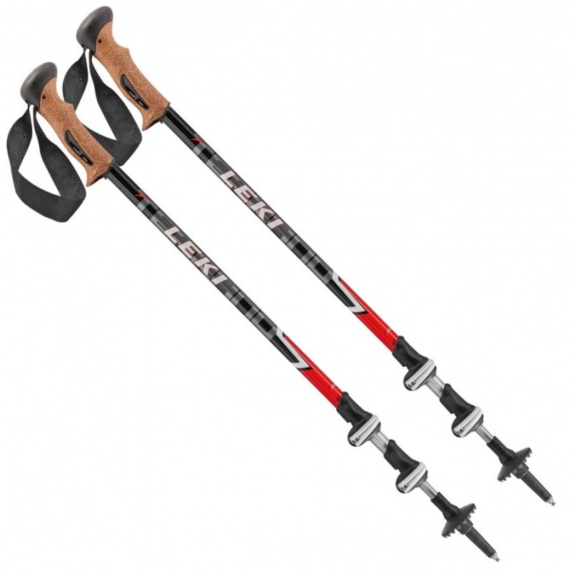 big 5 trekking pole