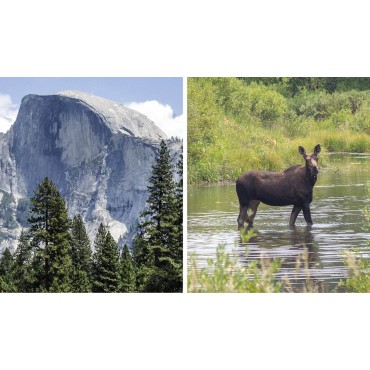 Yosemite & Yellowstone Backpacking