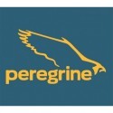 Peregrine