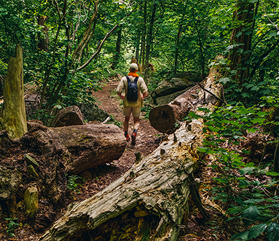 Forest hiking experience using rented camping gear