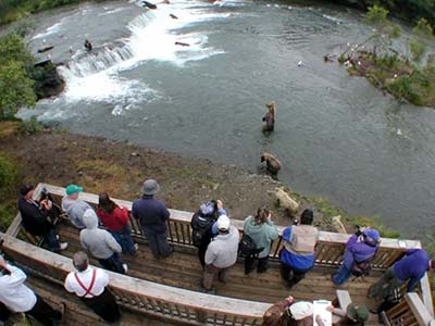 Visitors observing wildlife in Katmai National Park and Preserve