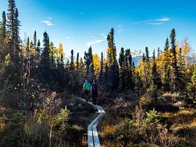 Hikers on a trail in Lake Clark National Park and Preserve
