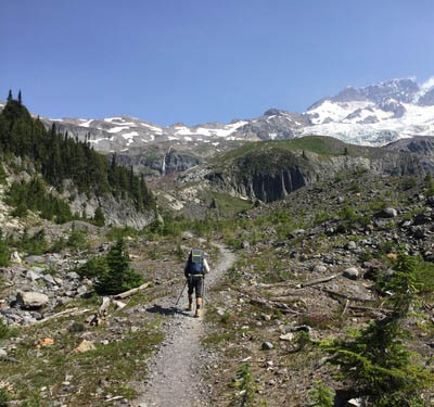 Trail view in Mount Rainier National Park