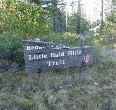 Trail sign in Redwood National Park