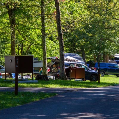 Developed campsite in Shenandoah National Park