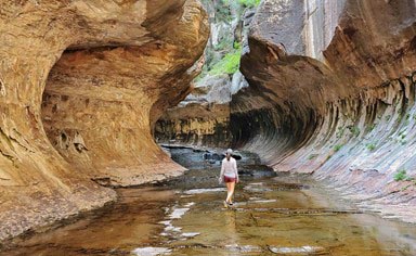 Water-filled canyon route in Zion National Park