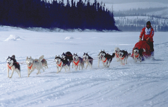 Tracking for dogsled race events using SPOT satellite unit