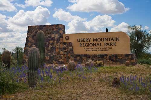 Mesa hikers in Usery Mountain can find supplies at Lowergear Outdoor Gear Rentals